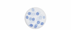 DROP breakfast plate, cobalt blue